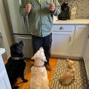 Meet your Posher, Barbara